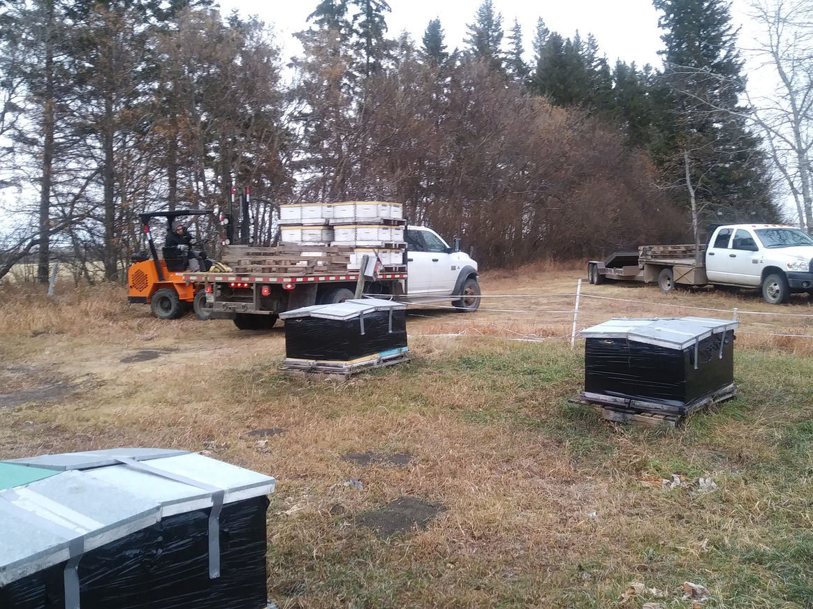 2020 Season photo 20